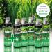 Microbe-Lift Plants Green Fertilizer | Vitamins & Trace Elements for Healthy Aquarium Plants | 118 ml (4 oz) - Buy Online on GoSupps.com