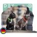 Premium Adjustable Dog Collar Nylon | Small & Large Sizes | Dey | Many Colors | For Dogs Cats & Puppies - 2.5 x 45-68 cm Red - Buy Online on GoSupps.com