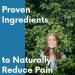 FLEXA Natural Relief Cream with Arnica, Menthol, MSM, Ilex Leaf & Tea Tree Oil - 3 Oz Jar | Soothes Muscles, Back, Neck & Joints - Buy Online on GoSupps.com