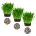 Cat Grass Barley 3 Pack by Cat FurNature