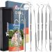 Professional Dental Tools Kit - Stainless Steel Plaque & Calculus Remover Tooth Cleaning Picks Mirror & Tongue Scraper - Dentist-Approved Hygiene Set for Teeth Care - Buy Online on GoSupps.com