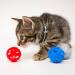Hartz Just For Cats Toy Variety Pack - 13 Piece: Interactive Cat Toys for Endless Fun - Buy Online on GoSupps.com