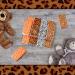 48 Pack Jungle Safari Animal Print Pocket Tissues - Portable Travel Size Facial Tissues for Birthday, Baby Shower, Holiday Parties - Buy Online on GoSupps.com