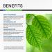 Chlorophyll Liquid Drops - Organic Sodium Copper Chlorophyllin Extract - Immune Support & Energy Boost - Non-GMO Formula - 2 fl oz - Buy Online on GoSupps.com