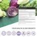 Nutrica Life DIM Supplement 300mg with Broccoli & BioPerine - Hormone Balance Support for Women & Men - Menopause Relief & Acne Control - 90 Vegan Caps - Buy Online on GoSupps.com