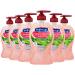 Softsoap Moisturizing Liquid Hand Soap Pump, Watermelon & Mint - 11.25 Fluid Ounce, 6 Packs