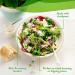 Daiya Dairy-Free Homestyle Ranch Dressing 8.36 oz - Vegan-Friendly - Buy Online on GoSupps.com