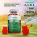 Kids Multi B Vitamin Gummies with B-Complex B6, B12, B9, B7, B5, A, C, D, E, Zinc, Iodine, Inositol - Energy, Nervous System, Immunity Support - Gluten Free - Buy Online on GoSupps.com
