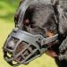 Barkless muzzle for dogs soft silicone basket for dogs bite chew and bark enables drinking and panting used with collar 5 (snout 13.5-14.5 ") black