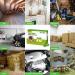 MAGIC CAT 20 Pack Peppermint Oil Rodent Repellent Balls - Natural Mouse Away for Car Engines, RV, Closet, Garage, Home - Pet Safe Rodent Control Solution - Buy Online on GoSupps.com