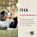 Buy PHA Salmon Oil for Dogs Cats & Horses | Sustainable Omega 3 & 6 Fatty Acids from Norway - 1L (1000ml) - Buy Online on GoSupps.com