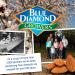 Buy Blue Diamond Almond Nut Thins Cheddar Cheese 4.25 Oz - Gluten-Free Snack - Buy Online on GoSupps.com