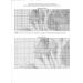 Renoir's Dance at Bougival Cross Stitch Chart - Large Size Symbols | Scarlet Quince REN011lg - Buy Online on GoSupps.com