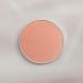 Remix 884 ALLURE Blush Powder Refill - Buy Online on GoSupps.com