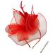 Ladies Large Feather Aliceband/Clip Fascinator Weddings Races Royal Ascot Hair Piece (Red) - Buy Online on GoSupps.com