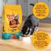 Meow Mix Tasty Layers Dry Cat Food Beef & Salmon 1.36kg Beef & Salmon 1.36 kg (Pack of 1) - Buy Online on GoSupps.com
