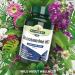 Natures Aid Glucosamine HCl 1000mg Vegan Shellfish-Free Tablets - 90ct - Buy Online on GoSupps.com