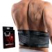 Venom Lumbar Back Brace Compression Belt - Elastic Support & Adjustable Dual Straps  Lower Back Pain  Spasm  Strain  Herniated Disc  Sciatica  Scoliosis  Disc Bulge  Lifting  Men  Women X-Large
