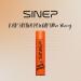 SINEP Professional Hair Styling Powder 20g Matte Finish Natural Grip Maximum Control - Buy Online on GoSupps.com
