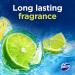Domestos Power 5 Lime Toilet Rim Blocks toilet freshener with a long-lasting fragrance clean and freshen for up to 300 flushes 2x 50 g - Buy Online on GoSupps.com