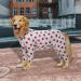 Rehabilitation Suit for Medium & Large Dogs - Breathable Full Cover Pajamas for Post-Op Recovery & Skin Protection | Cone Collar Alternative - Size 32 Strawberry - Buy Online on GoSupps.com