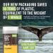 Every Man Jack Amber & Sandalwood Deodorant - Aluminum-Free, Long-Lasting, Plant-Based, 3 oz (2 Sticks) - Buy Online on GoSupps.com