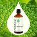 Plant Therapy Peppermint Essential Oil 100 mL (3.3 oz) 100% Pure Undiluted Natural Aromatherapy for Diffuser & Topical Use Digestion Respiratory & Massage Peppermint Oil for Skin & Hair - Buy Online on GoSupps.com