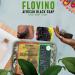 Buy Flovino Real African Black Soap 1lbs | Natural Bar Soap for Acne & Oily Skin | Clear Even Skin Tone | Best African Formulas Online - Buy Online on GoSupps.com