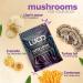 Lucid Superfood Organic Mushroom Coffee with Nootropics - Lion's Mane Tremella Cordyceps & Turkey Tail - Instant Mushroom Coffee Focus Brain Health - Alpha GPC L-Theanine Ginko Biloba - USA Made Coffee 7.94 Ounce (Pack  - Buy Online on GoSupps.com