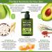 Lily Sado Matcha Made in Heaven Green Tea Cleanser - Daily Facial Wash for Men & Women - Clears Pores, Treats Acne, Reduces Pore Size - 5 oz - Buy Online on GoSupps.com