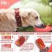 Buy NEW 3 Series Dog Drinking Bottle Gift Set | 550ml Leak-Proof & On-the-Go | Includes Feed Bag & Toothbrush | Premium Pink Dog Bottle - Buy Online on GoSupps.com