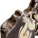 Shop Vegan Sugar & Oats Activated Charcoal Soap | Exfoliating Jojoba Beads | Lavender Tea Tree Sage Essential Oil | Handmade Cold Press Beauty - International Shipping - Buy Online on GoSupps.com