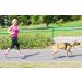 DINGO Canicross Belt 4-in-1 | Universal Adjustable Hands-Free Dog Walking Belt | Reflective Multifunctional | Running Sports Jogging Training | Black Waist Belt (12780-2) - Buy Online on GoSupps.com
