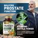Built by Nature Prostate Supplement with Saw Palmetto - Advanced 3X Formula + Stinging Nettle and Pumpkin Seed Extract Urinary and Prostate Health Support for Men - 120 Capsules - Buy Online on GoSupps.com