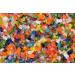 Devardi Glass COE 33 Boro Frit Sampler - 6 - two ounce samples  size 0 - Buy Online on GoSupps.com