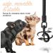 Buy Bluzelle 5m Roller Leash with Reflector Strips for Small Dogs | Ergonomic One-Hand Brake 360 Carabiner Hook Nylon Belt - Ideal for Dogs up to 20kg - Buy Online on GoSupps.com