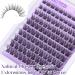 Buy Wispy Lash Clusters Kit | Natural C Curl Eyelash Extensions - 16mm with Bond & Seal - Winifred - Buy Online on GoSupps.com