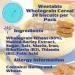 Weetabix Wholegrain Cereal 24 Biscuits Pack - Nutritious & Delicious Breakfast for the Whole Family! - Buy Online on GoSupps.com