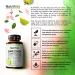 NutriRise Garcinia Cambogia 3000 MG - 60 Capsule Weight Loss Supplement - Buy Online on GoSupps.com