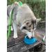 Ohmo Dog Travel Bowl - 700ml Portable Water Bowl for Road Trips Anti-Sloppy Foldable Pet Bowl Unique Blue-Green Design Perfect Travel Accessories for Dogs - Buy Online on GoSupps.com