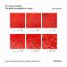 Hemway Extra Fine Red Holographic Sparkle Glitter 100g Cosmetic Safe Ultrafine Glitter for Arts & Crafts International Shipping Available - Buy Online on GoSupps.com