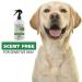 WAHL Scent-Free Pet Odor Neutralizer Spray - 8 oz (Model 820012) | For Dogs Skin and Coat - Buy Online on GoSupps.com