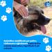Nice Pet Hygienic Towels for Dogs & Cats - 100 Chlorhexidine Towels | pH Protection & Musk Fragrance | Ideal Pet Hygiene Solution - Buy Online on GoSupps.com