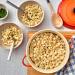 Annie's Organic Shells & White Cheddar Macaroni and Cheese - 12 Pack  6oz each - Buy Online on GoSupps.com