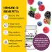 YumV's Elderberry Gummies with Vitamin C & D - 60 Berry Flavor Immunity Support - Buy Online on GoSupps.com
