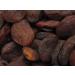 Yupik Organic Dried Apricots 2.2 lb - Non-GMO, Vegan, Gluten-Free - Buy Online on GoSupps.com