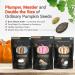 Premium Select Line by SuperSeedz | Pumpkin Seeds with Vermont Maple Sugar & Sea Salt | Vegan, Keto, Whole 30 | 8g Plant Based Protein | Nut & Gluten Free Snack | Made in USA | 4oz (Pack of 6) - Buy Online on GoSupps.com