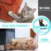 Polarduck Anti Cat Scratch Tape 4x30 Yards - Clear Double Sided Deterrent for Furniture, Carpet, Doors - Pet & Kid Safe - Buy Online on GoSupps.com
