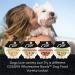 Cesar Wholesome Bowls Wet Dog Food Variety Packs - Chicken & Sweet Potatoes - 3 oz (Pack of 6) - Buy Online on GoSupps.com