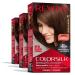 Permanent Hair Color by Revlon Permanent Brown Hair Dye Colorsilk with 100% Gray Coverage Ammonia-Free Keratin and Amino Acids Brown Shades (Pack of 3) 47 Medium Rich Brown